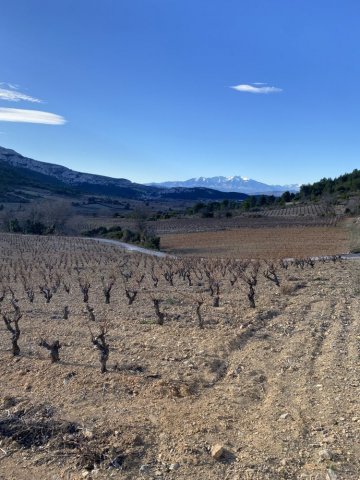 La CAVE DES COPAINS vous fais découvrir le Vignoble du Languedoc-Roussillon 